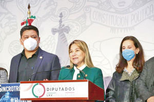 ANTEPROYECTO DEL CONACYT, ATENTADO CONTRA LAS MUJERES Y LOS DERECHOS DE LIBERTAD DE EXPRESIÓN Y MANIFESTACIÓN: SAYONARA VARGAS