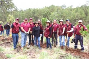 Semarnath y Pachuca promueven el primer refugio clim&aacute;tico urbano