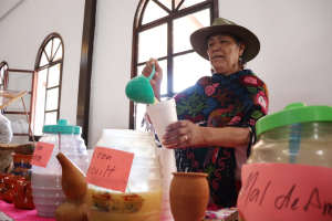 Hidalgo va por la conservación de la planta del maguey pulquero
