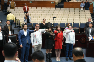 Congreso de Hidalgo planteó mayores sanciones al maltrato animal 