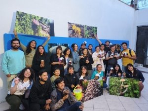 Festival Broto invita a reconectar con la naturaleza a trav&eacute;s del reino Fungi