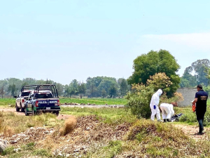 Descuartizado y embolsado