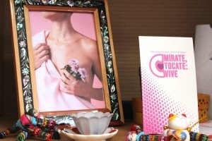 Realiza ISSSTE Hidalgo 300 mastograf&iacute;as en tres semanas para detectar c&aacute;ncer de mama