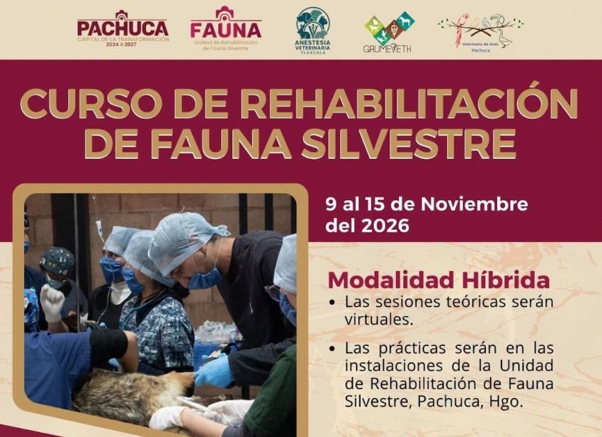 Pachuca abre inscripciones para el Curso de Rehabilitación de Fauna Silvestre 2026