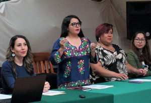 Avanza Ruta de Atenci&oacute;n a Mujeres V&iacute;ctimas de Violencia&nbsp;