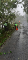 Acciones de limpieza y deshierbe en zonas laterales en la carretera estatal Pisaflores- La Pe&ntilde;a