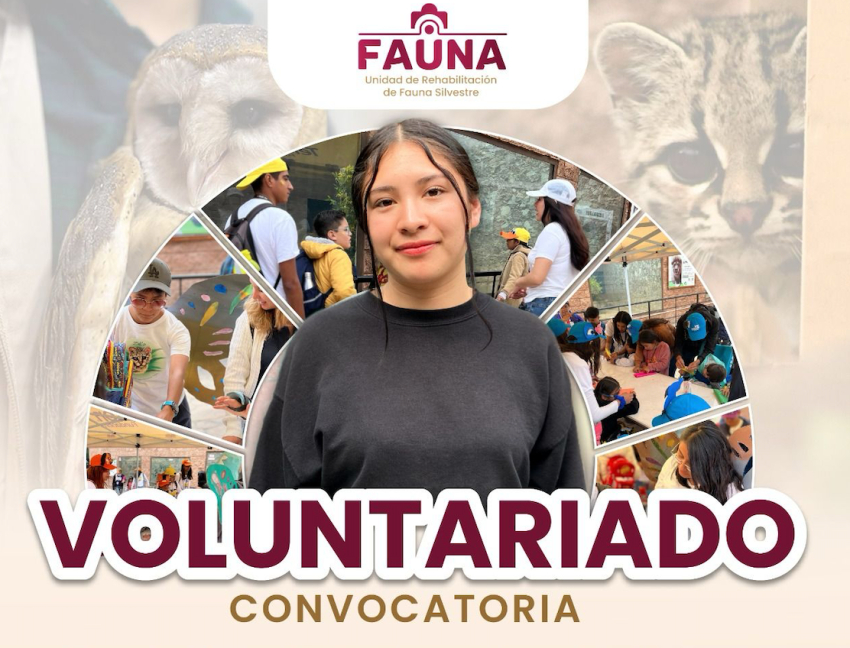 Convocan a jóvenes interesados por el bienestar y educación animal