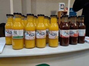 Registrar marcas en Hidalgo costar&aacute;&nbsp;90% menos a econom&iacute;a inclusiva&nbsp;