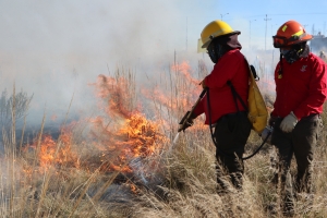 Inician líneas negras para evitar incendios forestales