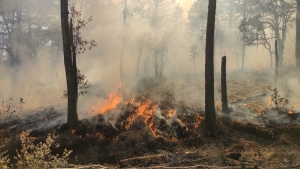 Con la llegada de las altas temperaturas se disparan los incendios forestales