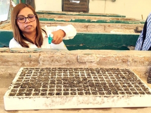 Desarrollan ITESHU y CBTA 179 proyectos para mejorar cultivos en el Valle del Mezquital