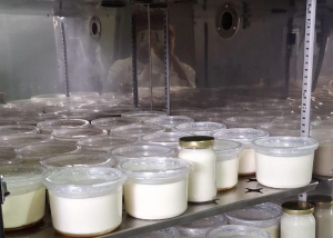 Impulsa UTHH formaci&oacute;n pr&aacute;ctica en Ingenier&iacute;a en Alimentos