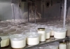 Impulsa UTHH formación práctica en Ingeniería en Alimentos