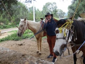 Hidalgo ofrece sitios Pet Friendly&nbsp;