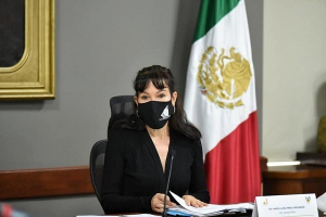 SANCIONAR PIROTECNIA E INTEMPERIE COMO FORMAS DE MALTRATAR A LOS ANIMALES: P&Eacute;REZ PERUSQU&Iacute;A