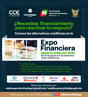 ANTE LA PANDEMIA POR COVID-19, GEH ACERCA A MIPYMES HIDALGUENSES LOS PROGRAMAS FINANCIEROS DE LA BANCA SOCIAL Y COMERCIAL