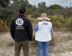 Activan protocolo de conservación tras reporte de avistamiento de felino silvestre