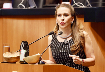 Senadora Carolina Viggiano propone sancionar la violencia política digital