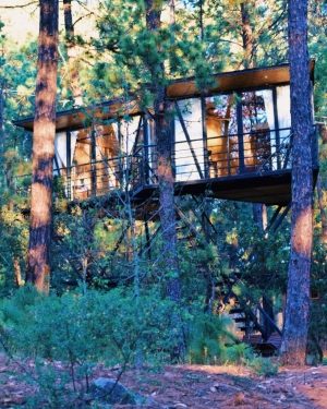 Una alternativa m&aacute;s de relajaci&oacute;n dentro de sus bosques de pinos y oyameles, en un lugar llamado Pinochueco