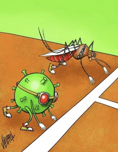 Desde hace algunos meses, se ha ido incrementando los casos de dengue en nuestro pa&iacute;s.