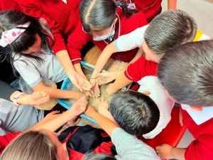 Refuerzan herramientas&nbsp;digitales aprendizajes en aulas&nbsp;&nbsp;