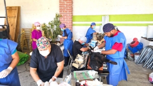 Hidalgo acelera acciones para frenar la rabia y fortalecer la esterilización de mascotas