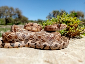 Nuestro día a día con la Biodiversidad