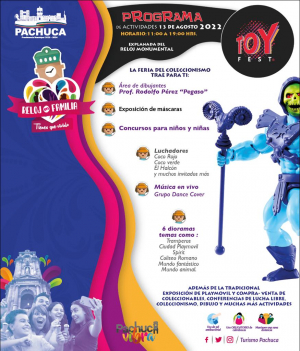 Realizarán en Pachuca la Expo-venta de Juguete Vintage y Exhibición de Play Mobil &quot;Toy Fest&quot;