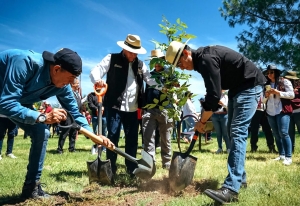 Con mil 500 nuevos &aacute;rboles en la Unidad Deportiva, Pachuca avanza hacia una capital m&aacute;s verde