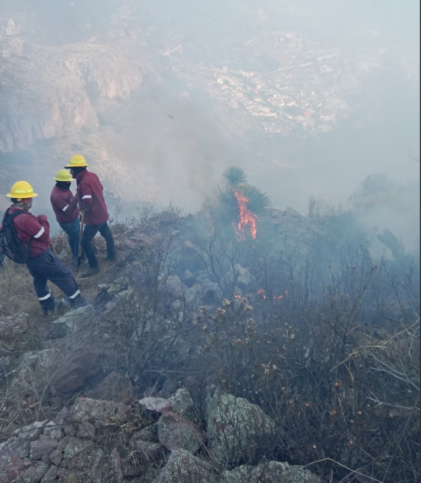 SEMARNATH encabeza el combate a incendio de interfaz urbano tipo 3 en la serranía de Pachuca