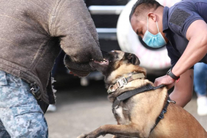 PRESENTAN UNIDAD CANINA EN MINERAL DE LA REFORMA