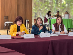 Consejo directivo de los niveles de educaci&oacute;n b&aacute;sica