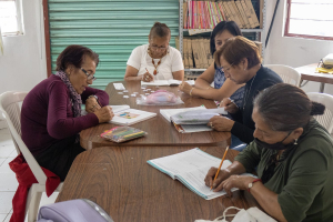 Traza meta IHEA alfabetizar a 2 mil 500 hidalguenses