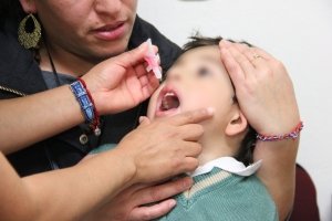 SSH brinda orientaci&oacute;n para la prevenci&oacute;n de par&aacute;sitos