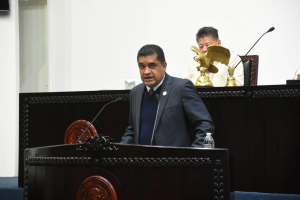 Pide GLPRI perseguir de oficio delitos y maltrato contra animales