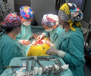 El Centro Estatal de Trasplantes reporta 28 donaciones&nbsp;en lo que va de 2024