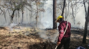 Atienden 35 incendios forestales en Hidalgo