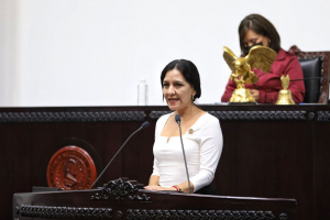 EXHORTA GLPRI A DELEGACI&Oacute;N DEL BIENESTAR EJECUTAR PROGRAMA EN FAVOR DE VICTIMAS DE HURACAN