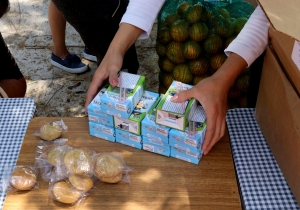 M&Aacute;S DE 450 MIL HIDALGUENSES BENEFICIADOS  CON APOYOS SOCIALES POR COVID19