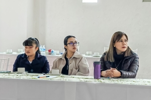 Organiza SSH capacitaci&oacute;n para la atenci&oacute;n de la salud mental y adicciones