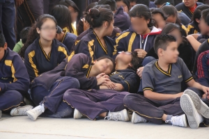 Panorama estatal de la escarlatina