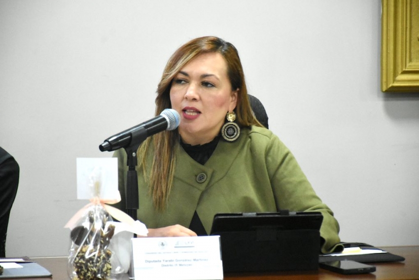 Con iniciativa, diputada propone difundir la práctica de las lenguas indígenas