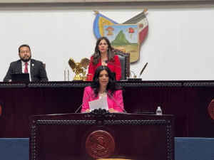 Crimen organizado recluta a la niñez y adolescencia a través de redes sociales y videojuegos: karla Perales