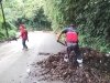 Lluvias y derrumbes azotan el norte del estado