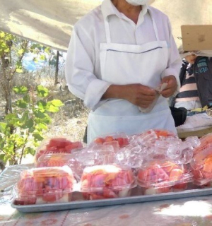 Pide SSH extremar precauciones ante las altas&nbsp;temperaturas ocasionadas por la can&iacute;cula