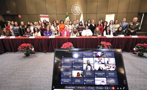 Hidalgo participa en reuni&oacute;n nacional para erradicar la violencia contra mujeres