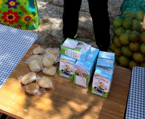 HIDALGO SEXTO LUGAR NACIONAL EN LA ENTREGA DE DESAYUNOS ESCOLARES