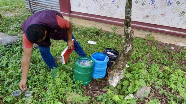 Actualización Panorama Estatal de Dengue