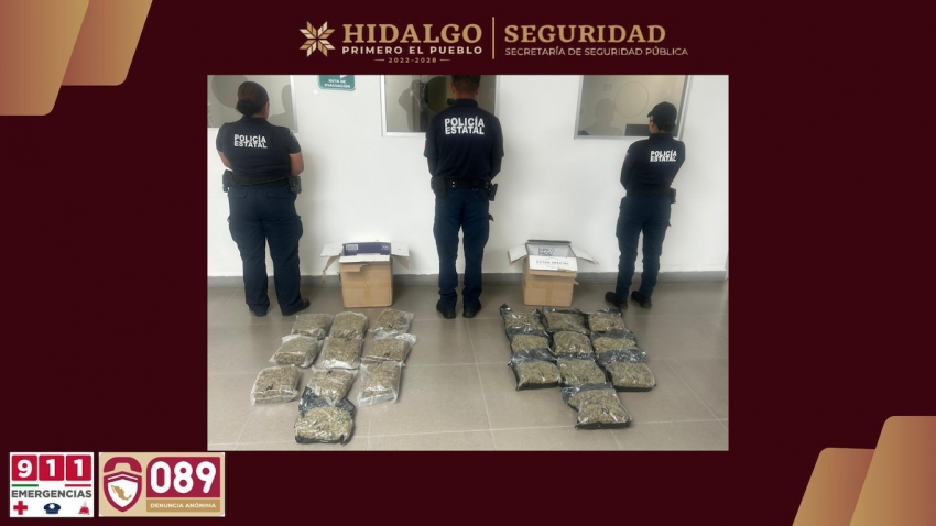 SSPH intercepta cargamento con más de 10 kilos de marihuana