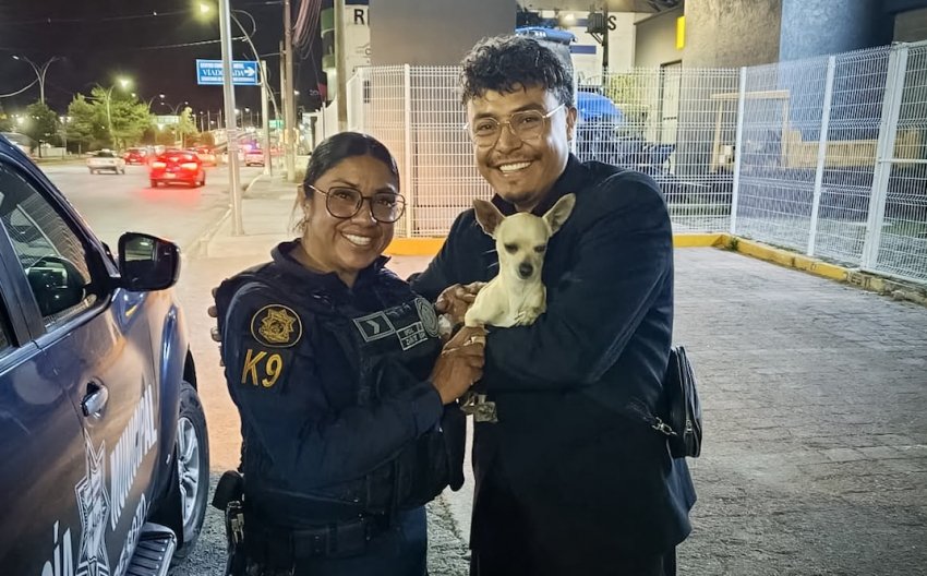 Interviene Unidad K9 para auxiliar a perro extraviado en bulevar Felipe Ángeles